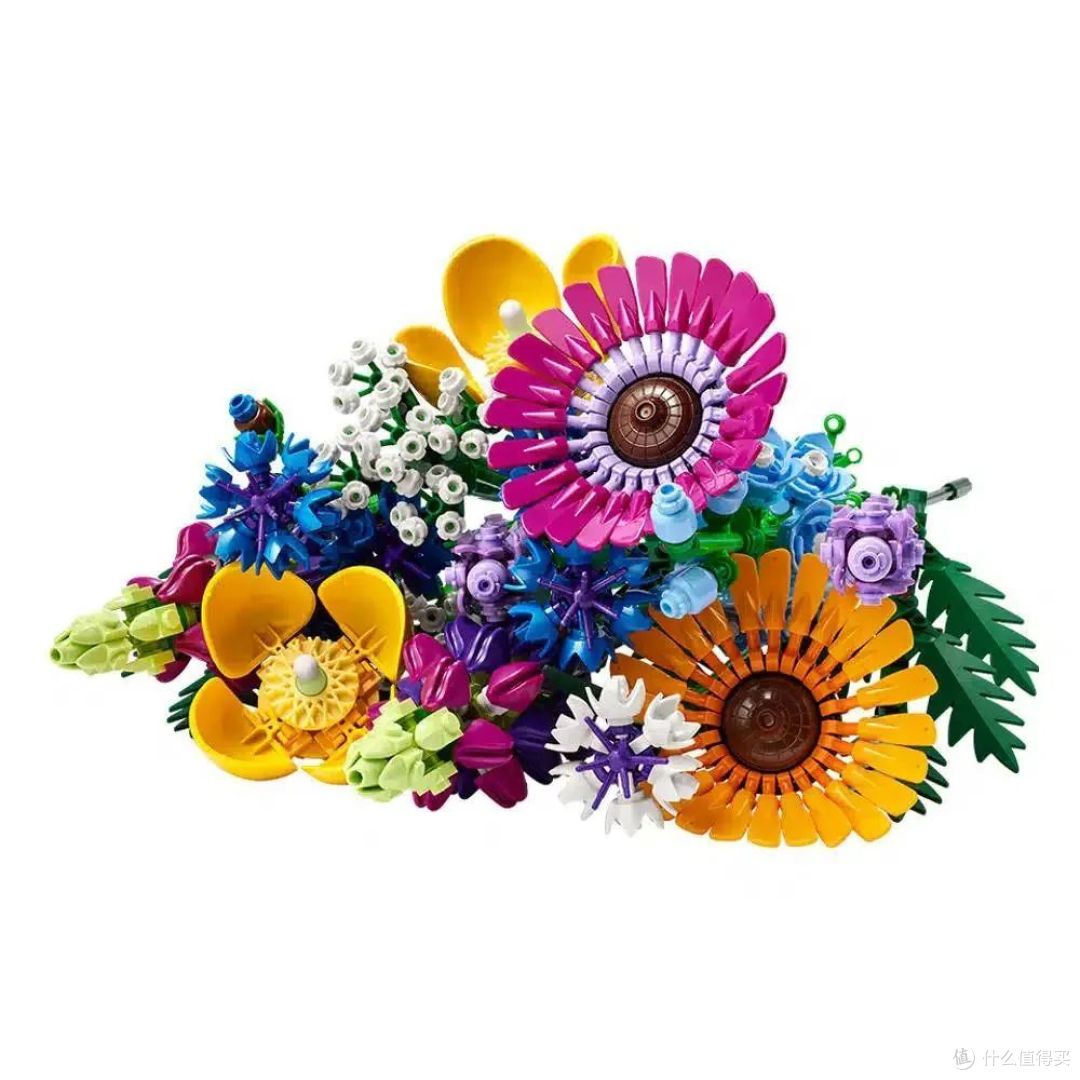 更多官图公布!两款乐高ICONS花植系列野花和干花即将上架