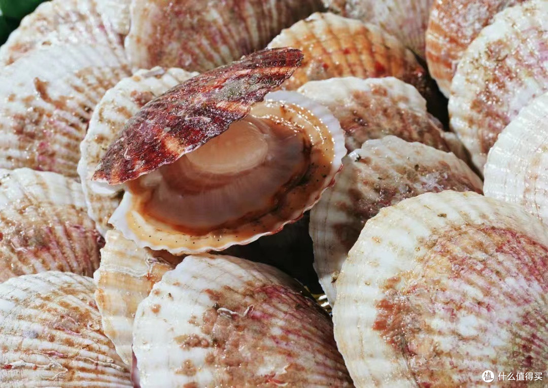 在家吃到这惊叹的美味佳肴:蒜蓉粉丝蒸扇贝