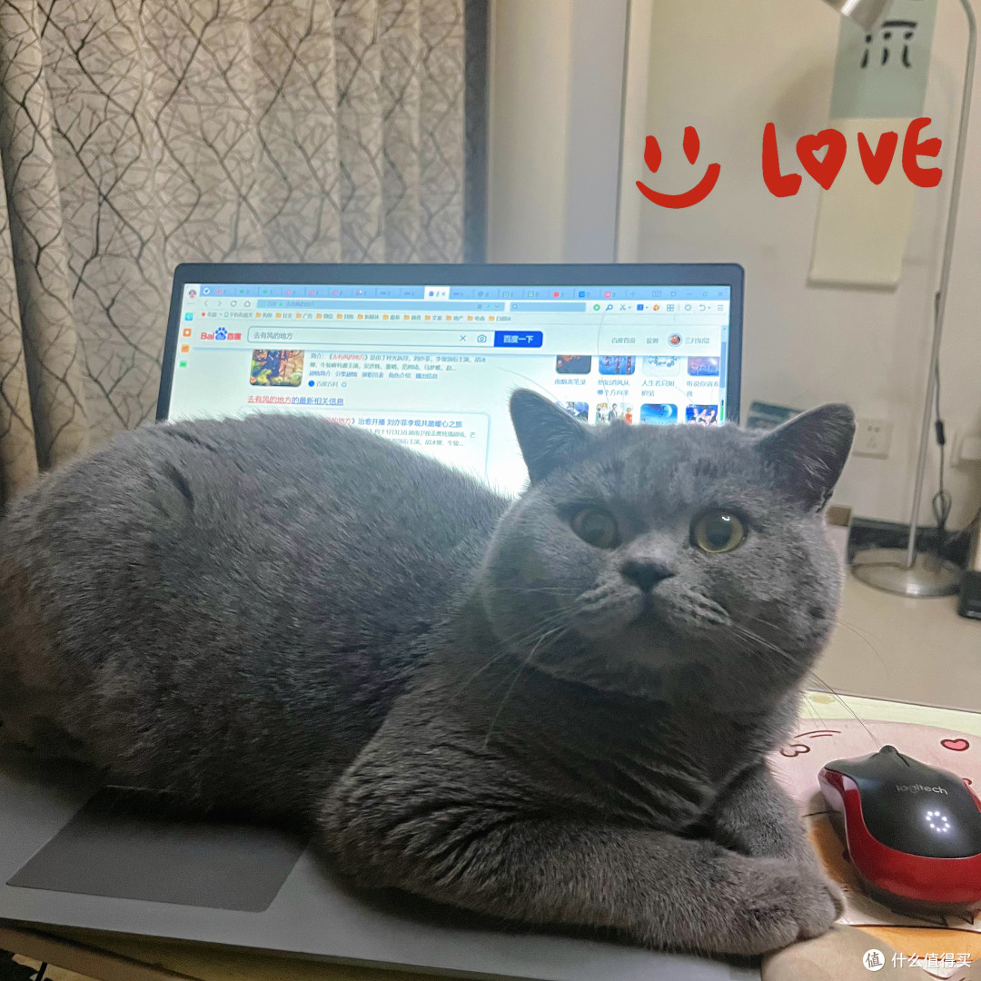 【值友推荐】网易天成猫粮初体验!