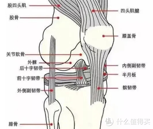 居家锻炼正此时——万字长文带你看全3类室内运动器材选购