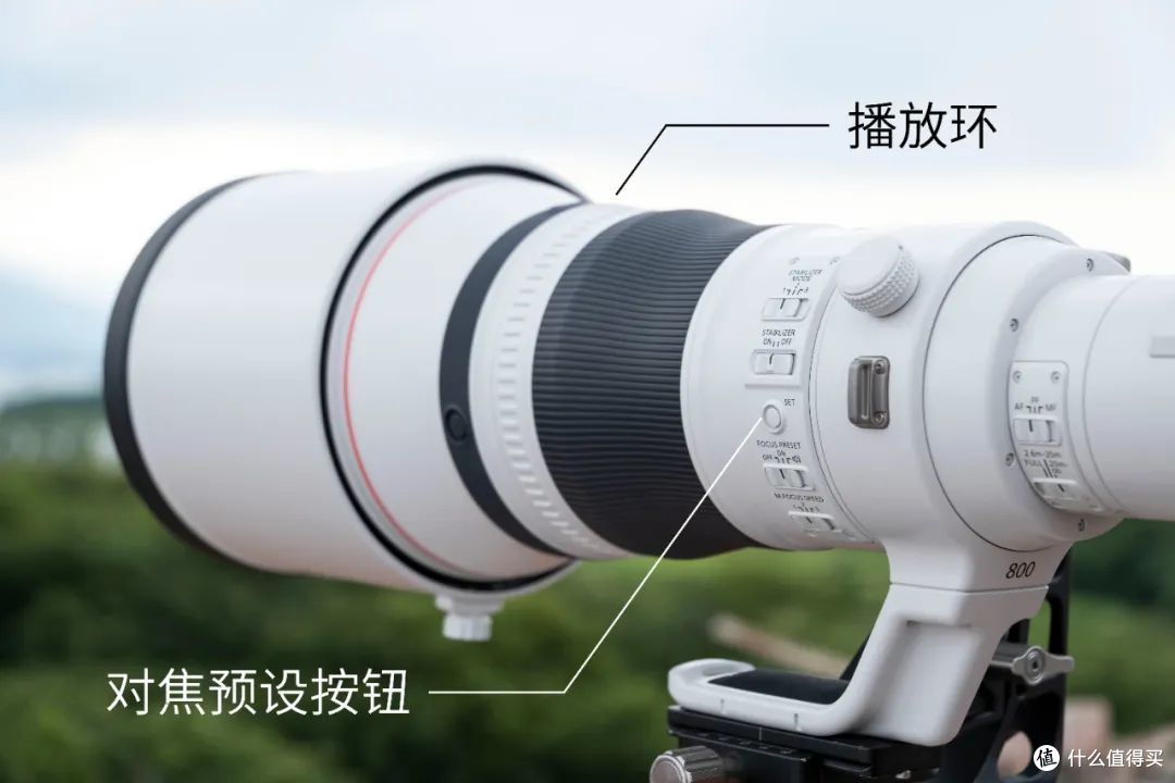 佳能RF800mm F5.6,接近6位数的大炮实力如何?