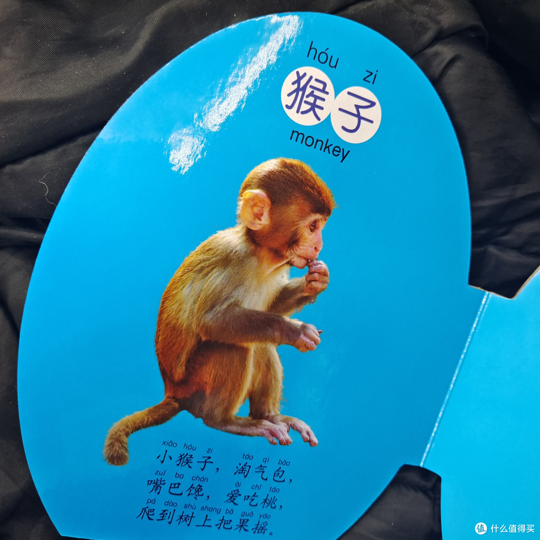 小朋友认识动物就可以看这本神奇蛋蛋书呀~