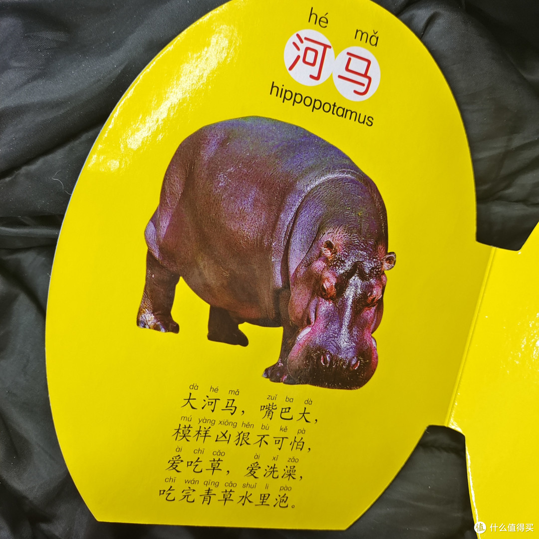小朋友认识动物就可以看这本神奇蛋蛋书呀~