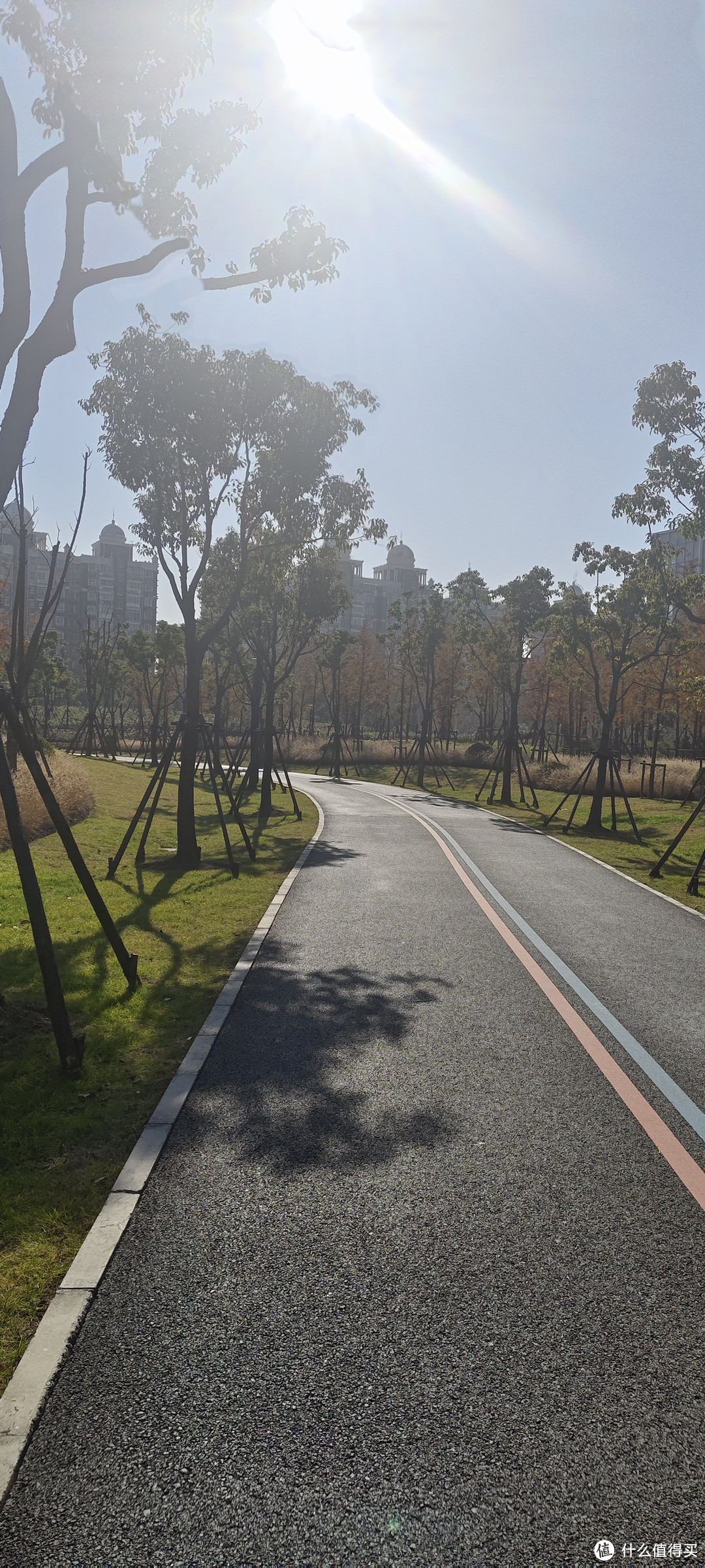城市多彩森林，浦东张江锦绣文化公园/坐落在浦东图书馆旁边的一个大型公园/运动跑步好去处