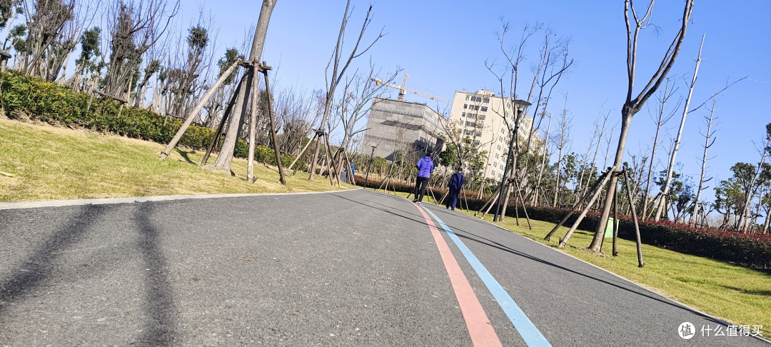城市多彩森林,浦东张江锦绣文化公园/坐落在浦东图书馆旁边的一个大型公园/运动跑步好去处