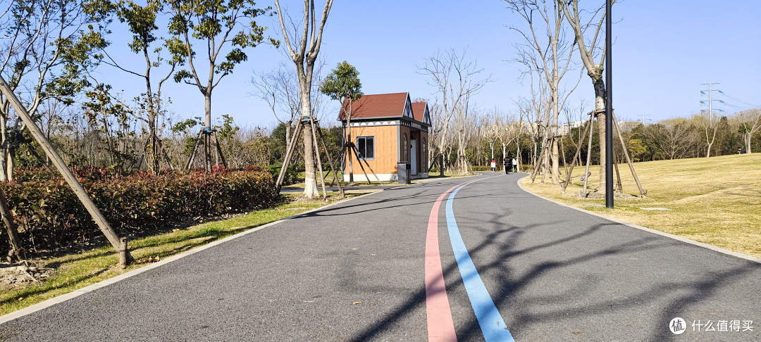 城市多彩森林,浦东张江锦绣文化公园/坐落在浦东图书馆旁边的一个大型公园/运动跑步好去处