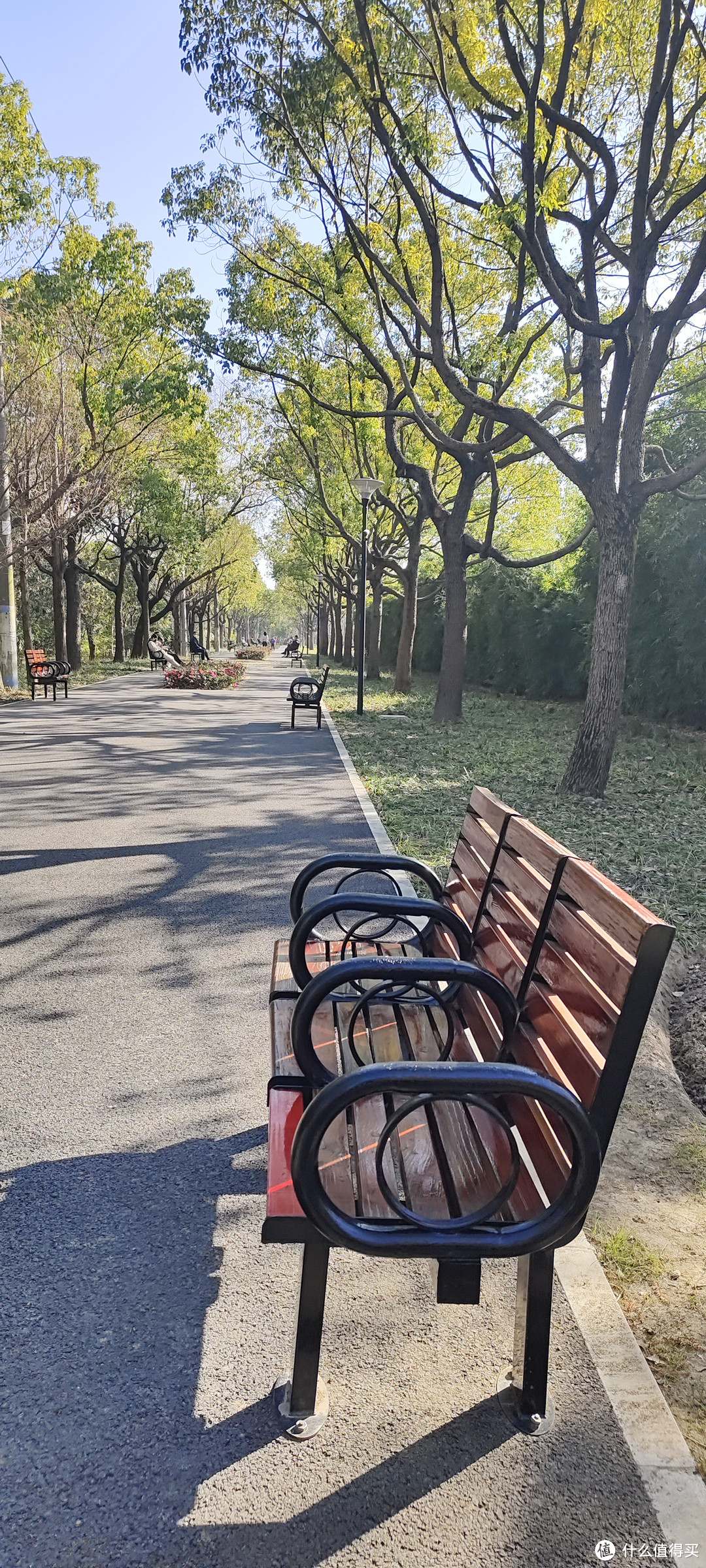 城市多彩森林,浦东张江锦绣文化公园/坐落在浦东图书馆旁边的一个大型公园/运动跑步好去处