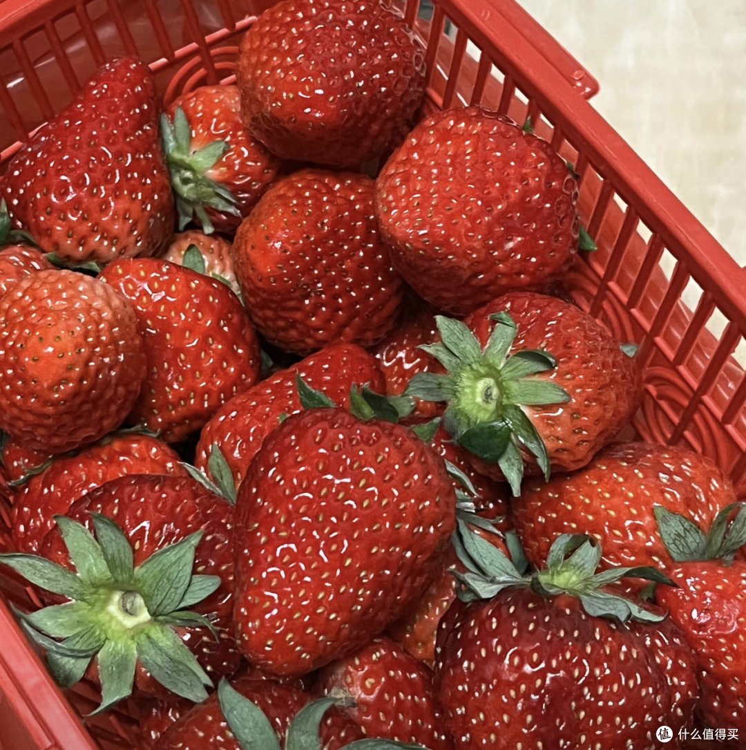 谁能拒绝这么大颗的大草莓🍓~