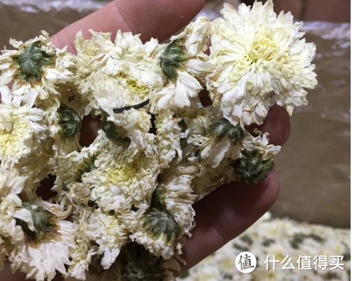 常喝3种菊花茶，好喝又解暑