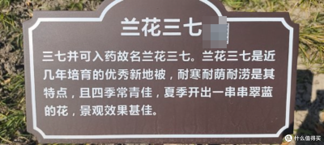 城市多彩森林,浦东张江锦绣文化公园/坐落在浦东图书馆旁边的一个大型公园/运动跑步好去处