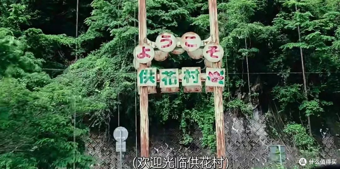 一集入坑，尺度拉满，又一部重口味剧上线了