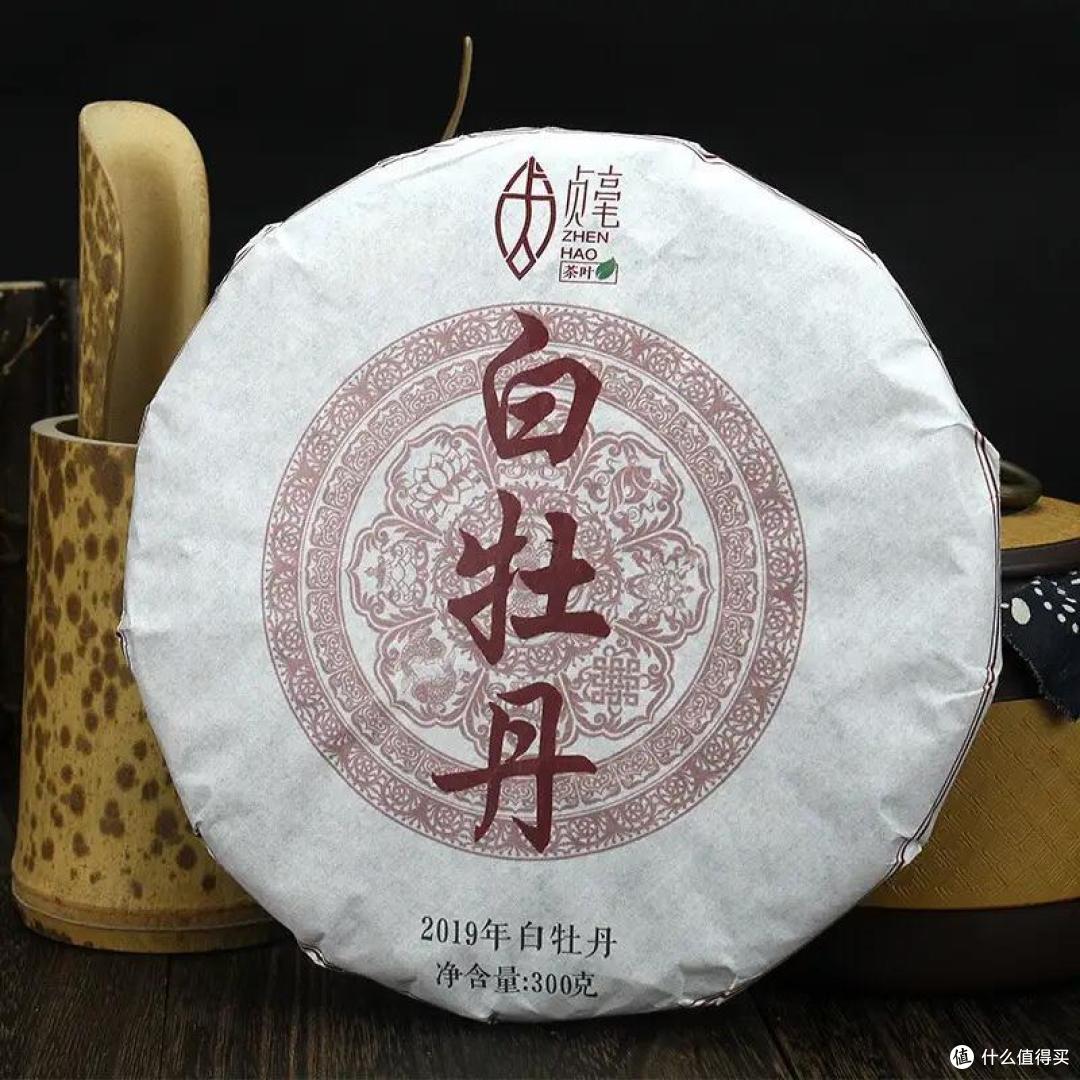 躁动夏季冲泡一壶白茶,以芳香扫除情绪