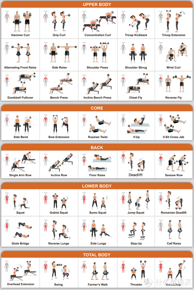 不用大空间也能练出好身体，健身教练推荐的哑铃怎么选用才是最优解