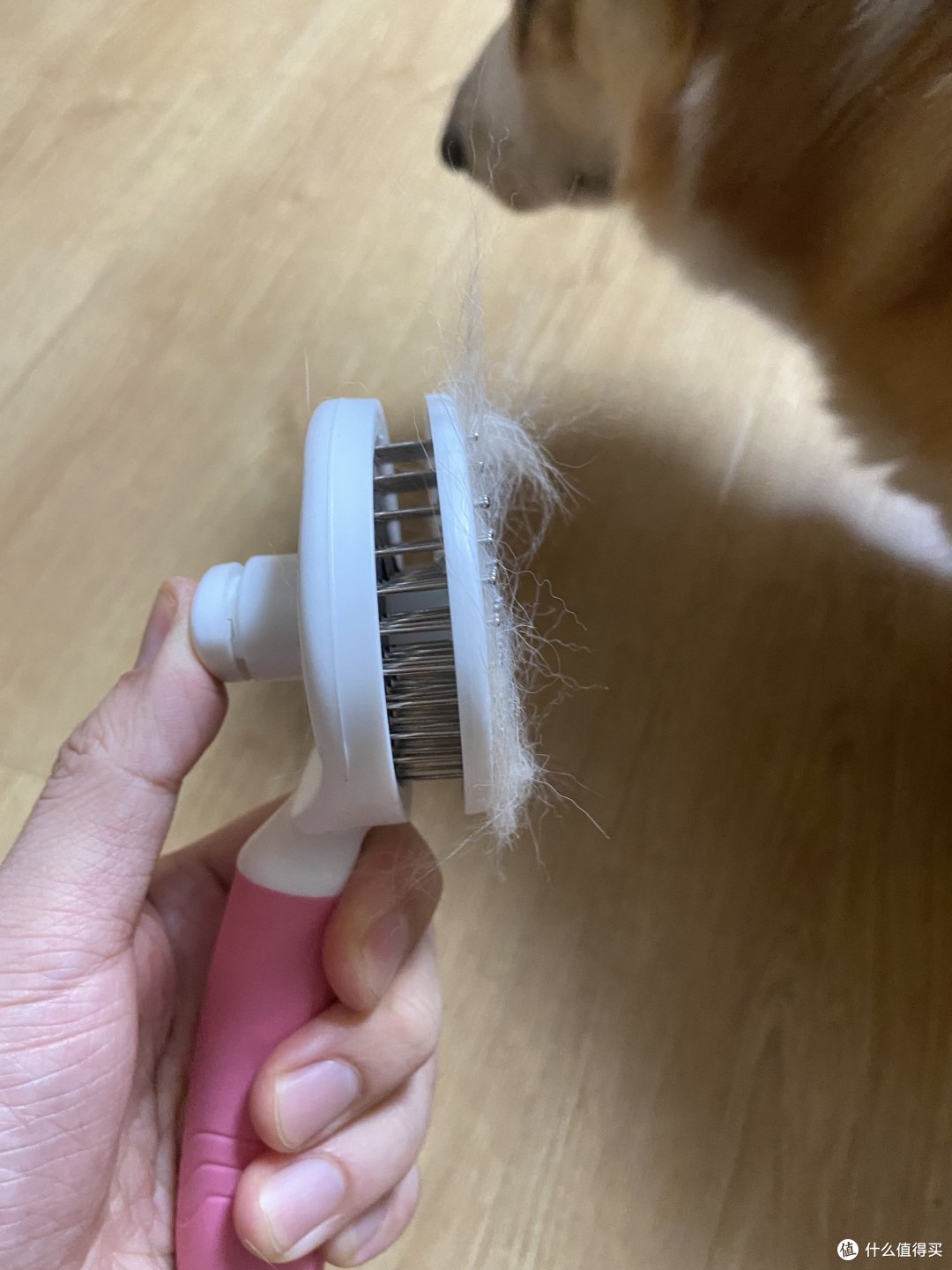 三种宠物梳毛器那种最好用!第一款!