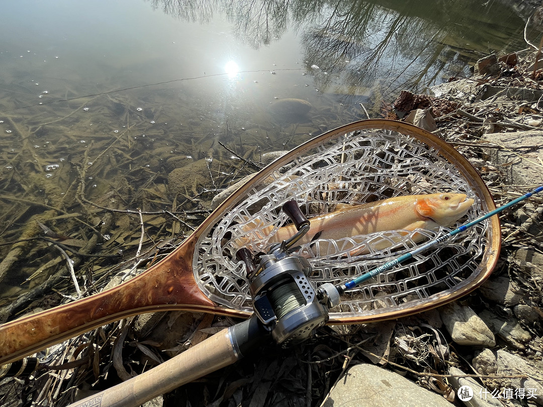 Abu Garcia 复古旅行竿ZoomSafari系列 ZMSC-464L,500元价位路亚竿的颜值巅峰