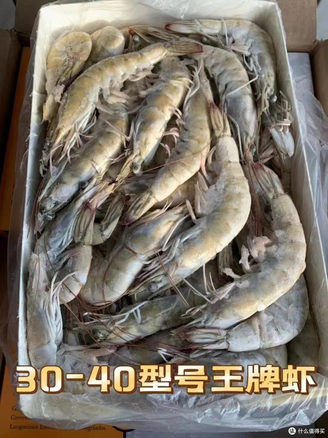 年货大集来了~普通人家准备哪些海鲜年货,隔壁家里的小孩都馋哭了~