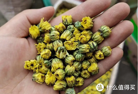 上了年纪要忌菊花茶？千万别轻视，这3类“差劲茶”有钱也别喝！