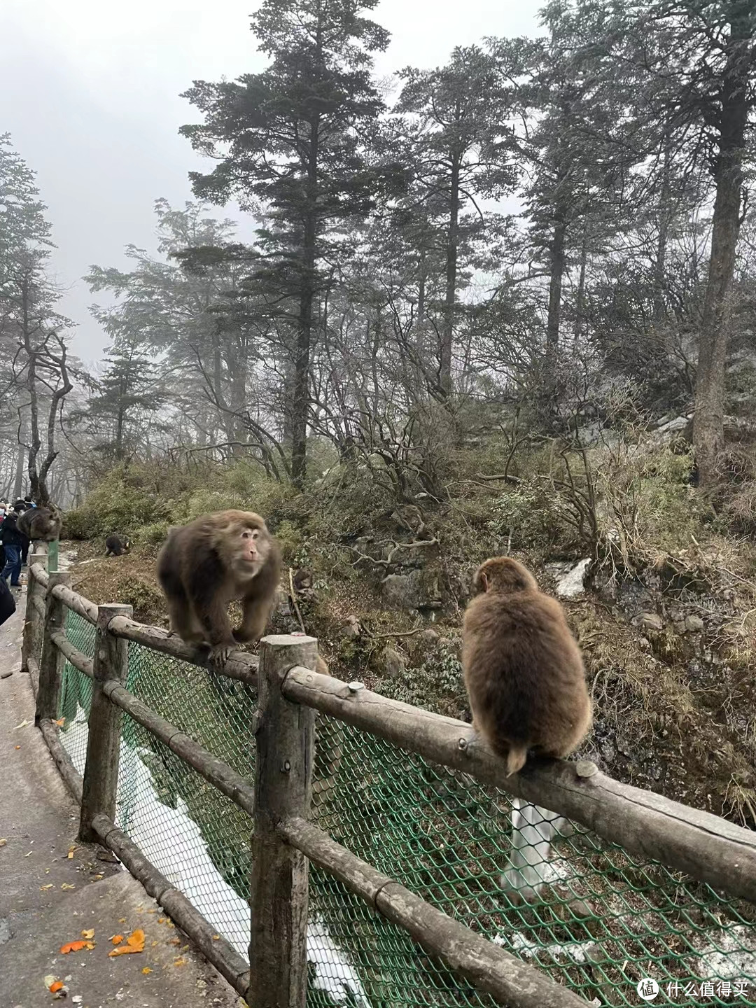 去峨眉山了 一定要多出去走走呀