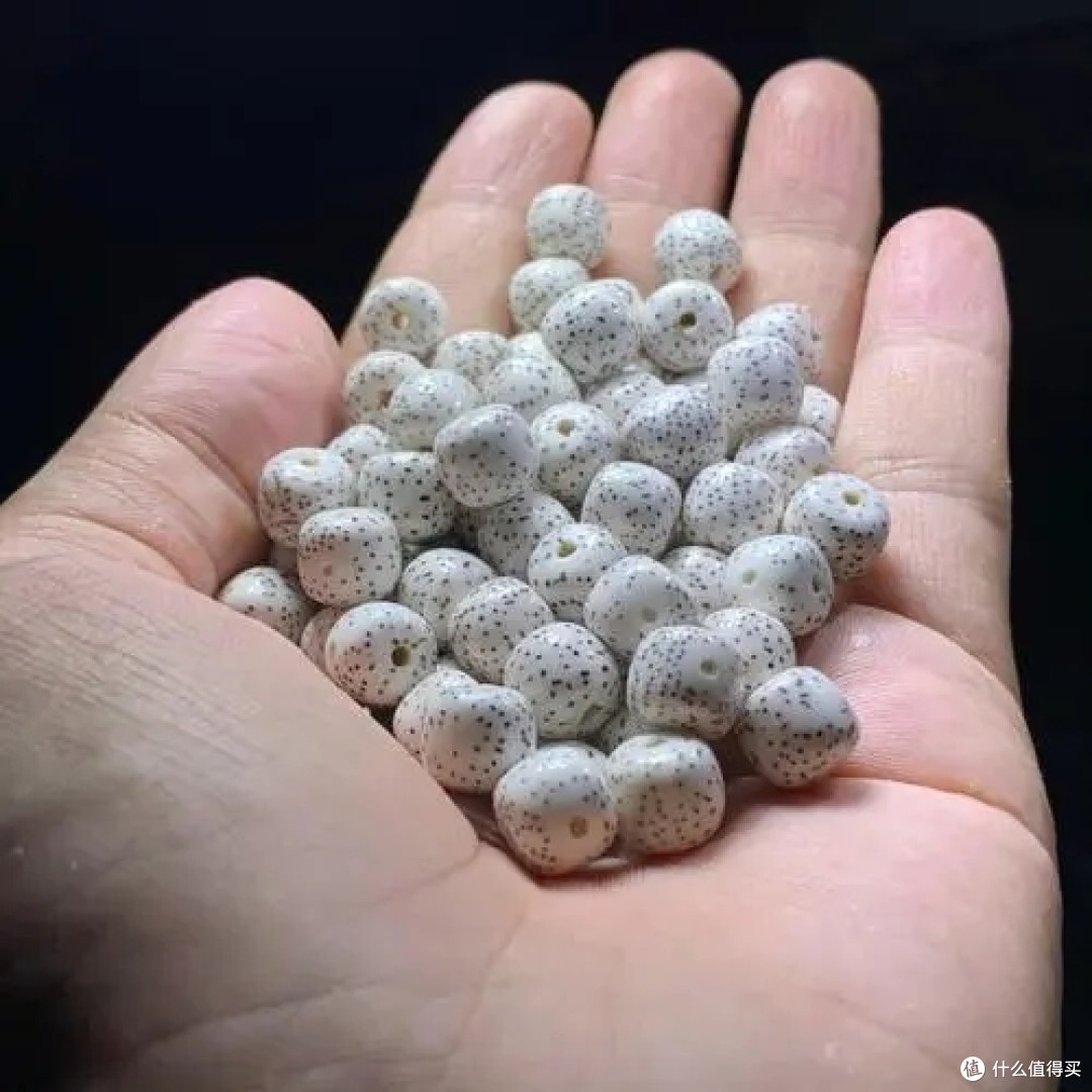 菩提类文玩的“3个世纪难题”,就连20年的老玩家,都幸免不了