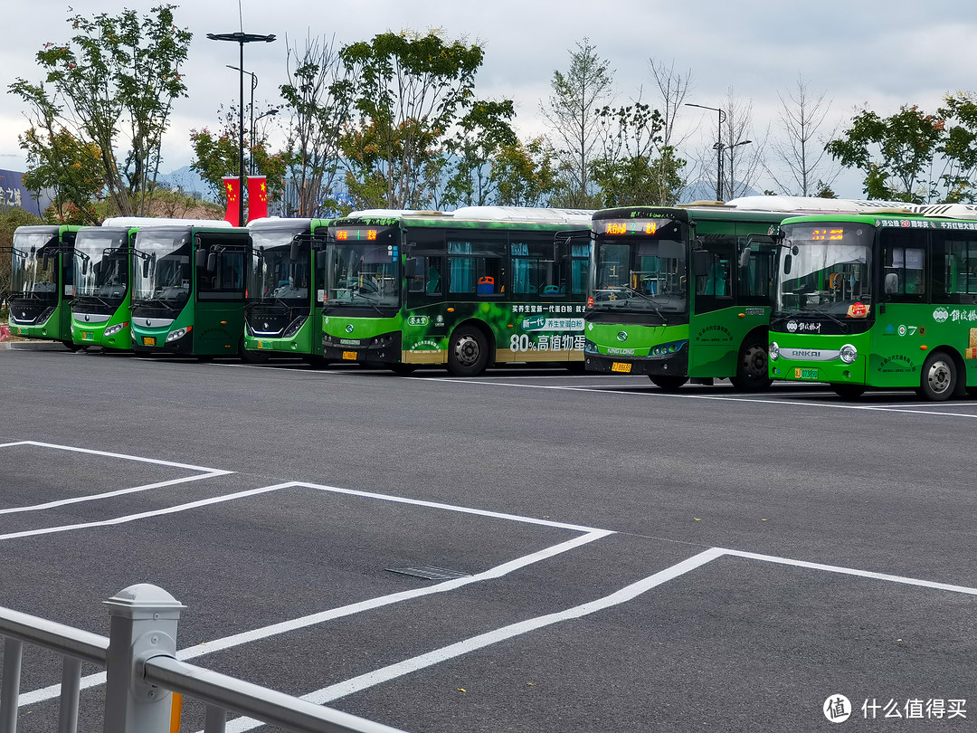 浙江宁波、临海、天台、温州7日公共交通自由行游记——总览及攻略