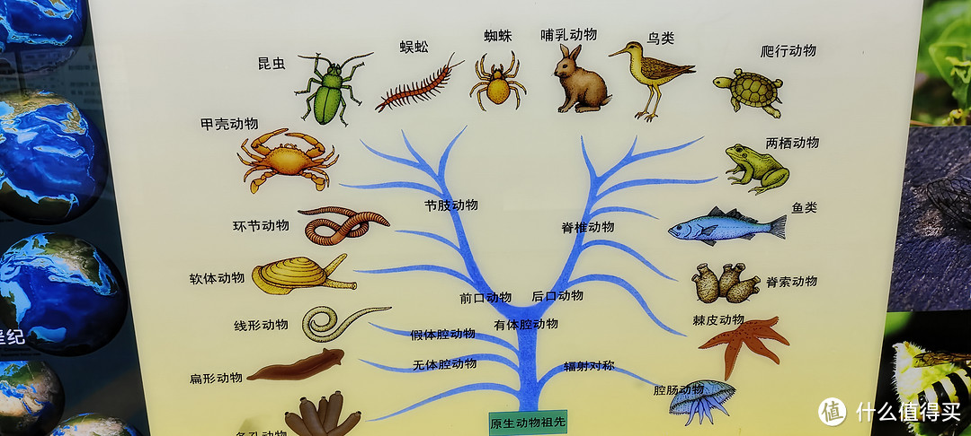 上海中科院上海昆虫博物馆开馆首日/第1天就过来了/上海市科普教育基地、全国青少年走进科学