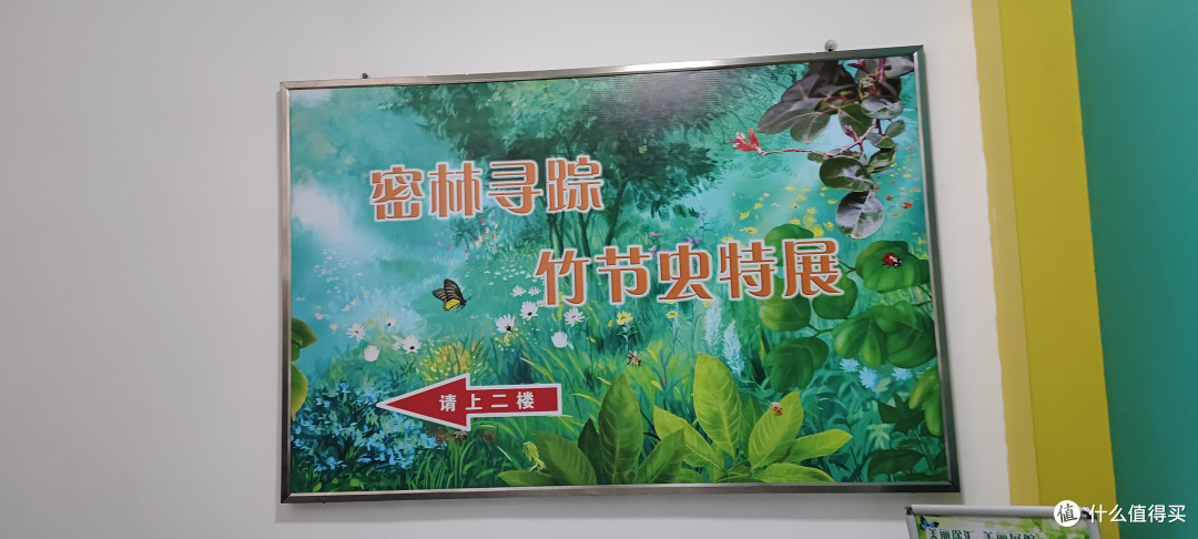 上海中科院上海昆虫博物馆开馆首日/第1天就过来了/上海市科普教育基地、全国青少年走进科学