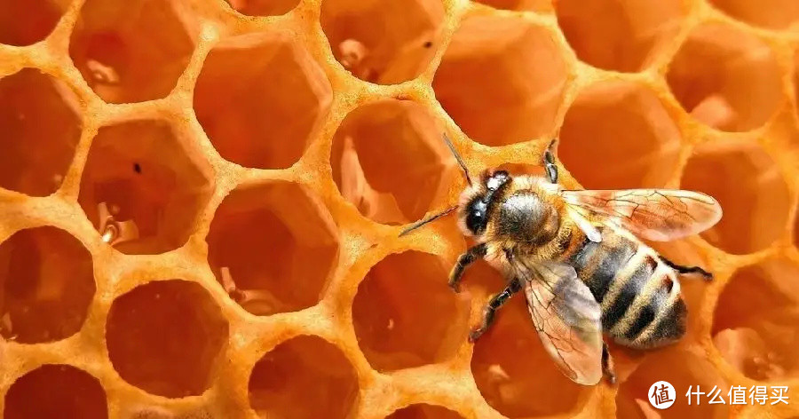 三百多年的匠心传承，天然的蜂蜜你喝了没？