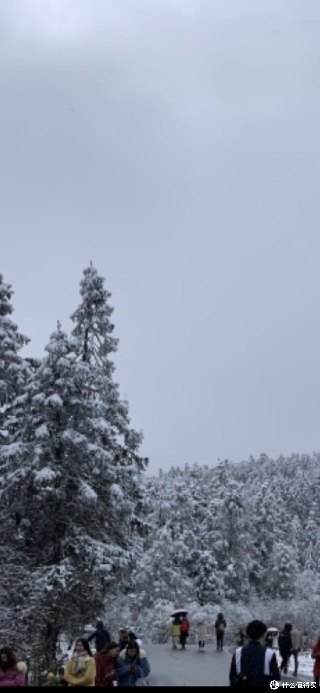 武隆仙女山滑雪场，享受冬季滑雪之旅