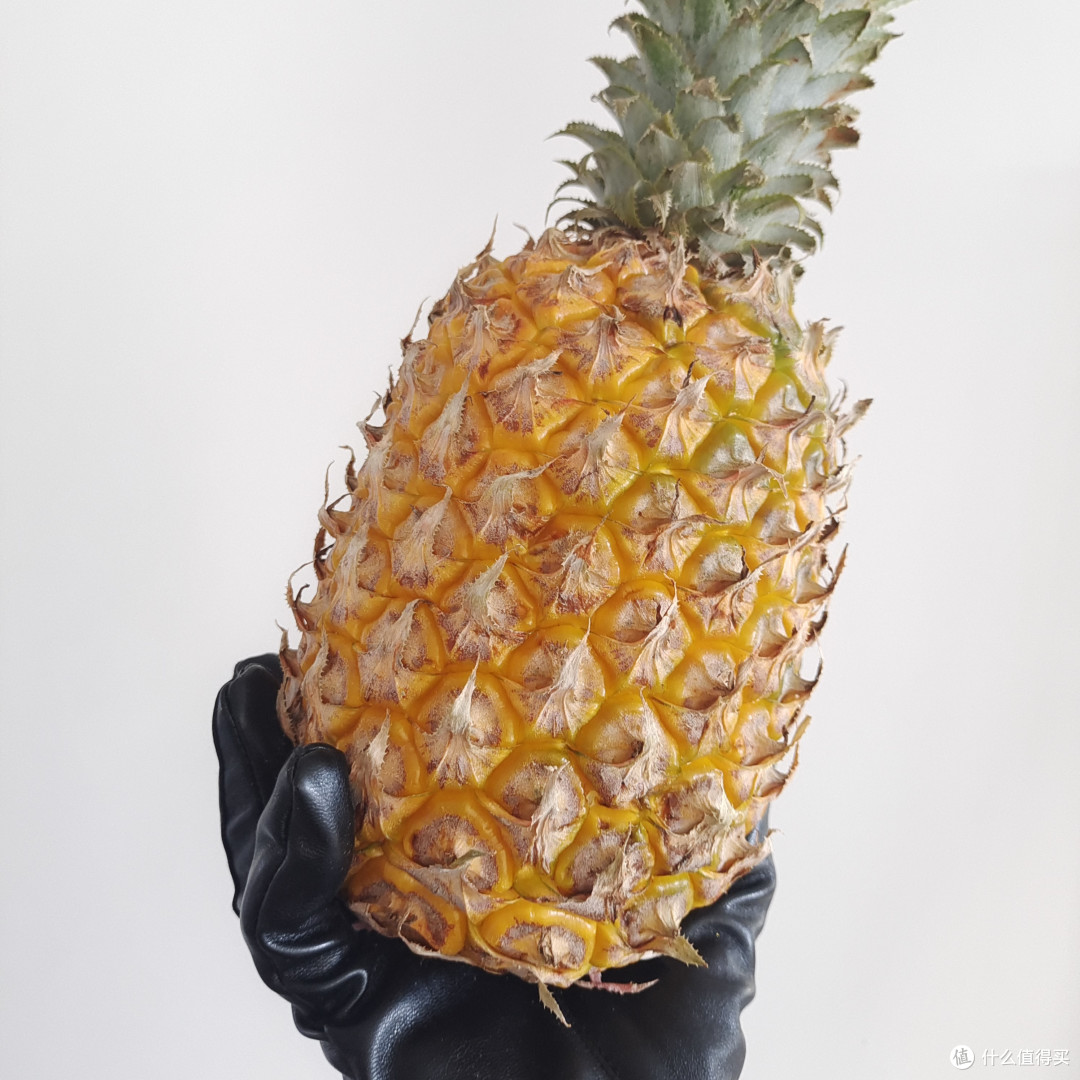 一直闻名世界的徐闻菠萝