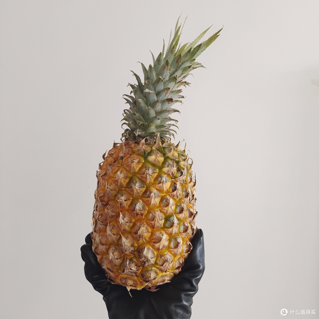 一直闻名世界的徐闻菠萝