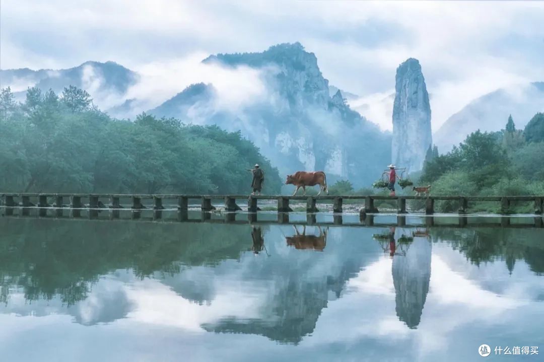 一整年的周边游，我承包了！