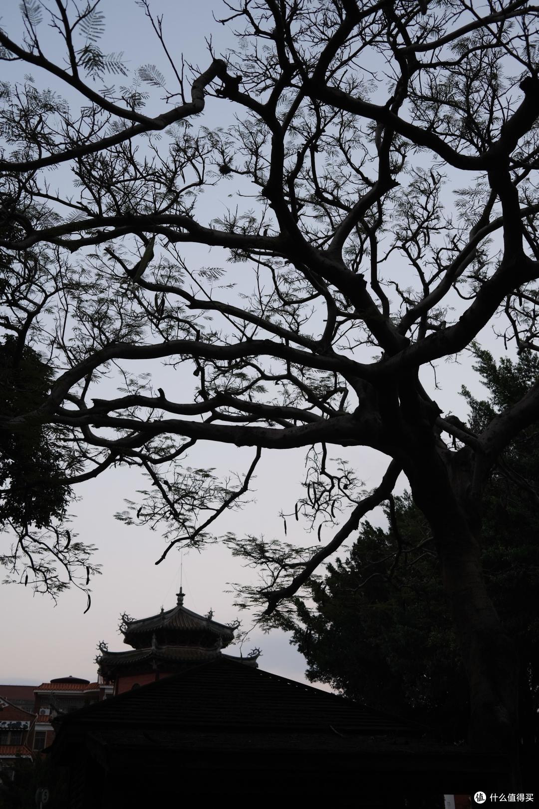 春节年初四——年初七三天游泉州流水账