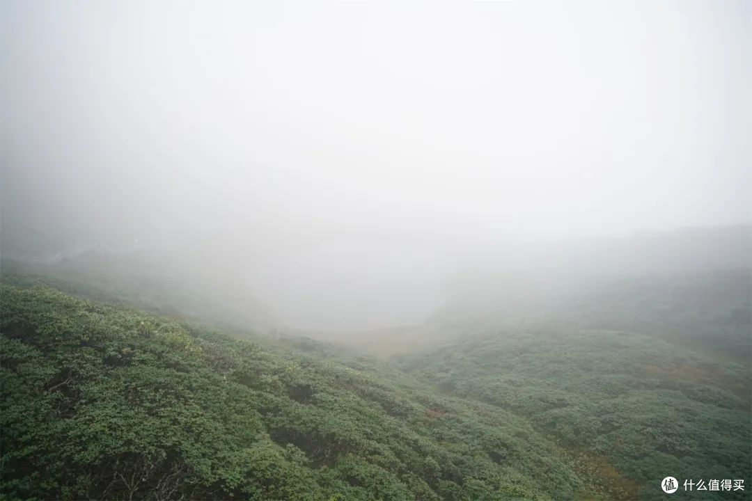 不如一路向西去大理 几年前的大理游记