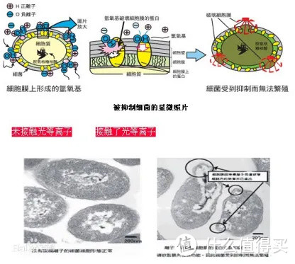 海尔滚筒洗衣机/洗烘套装全品类选购合集|纤美/叠黛和美/晶彩/Mate系列解析|精华洗、双擎热泵等技术解析