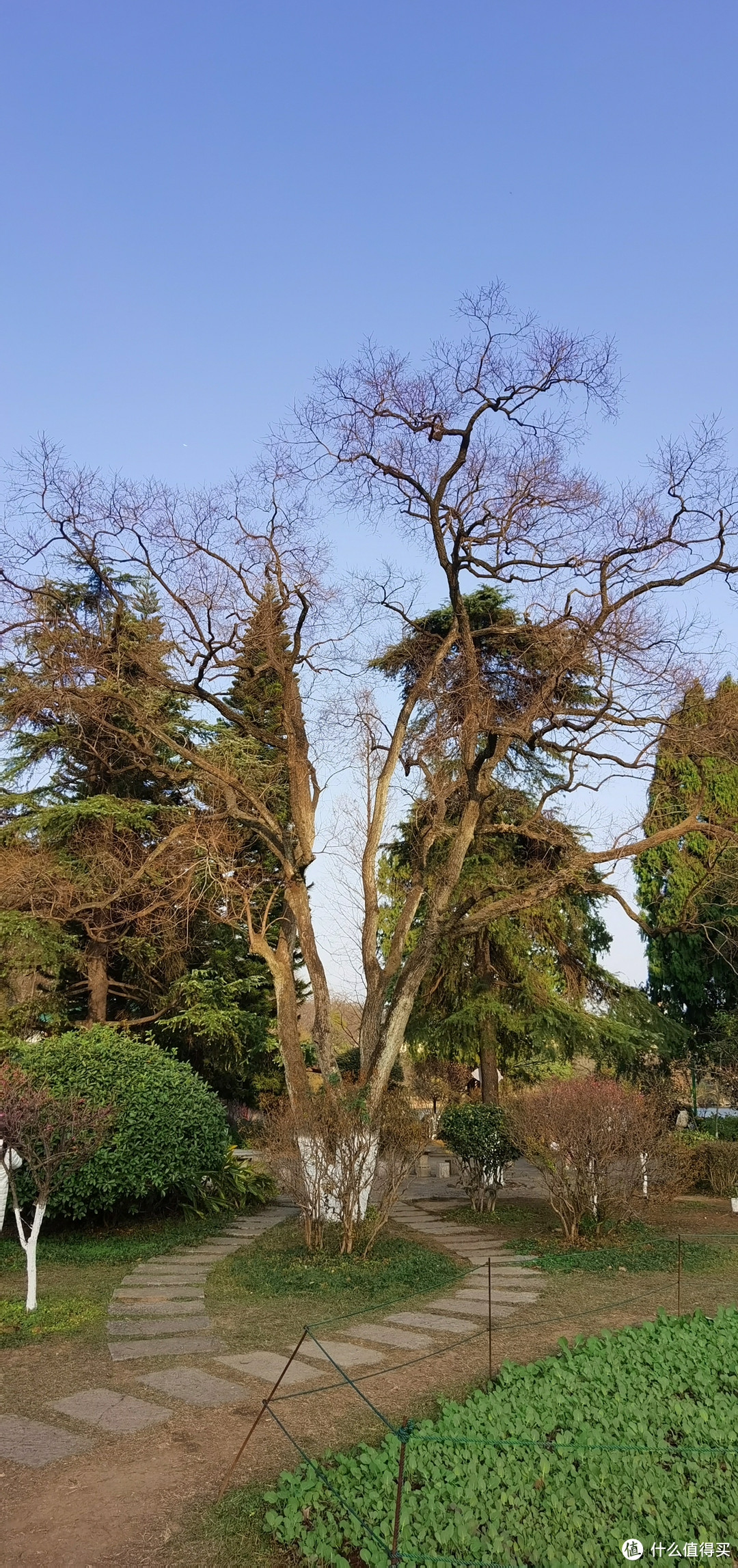 分享一下春节广州到广西的自驾1500公里旅游