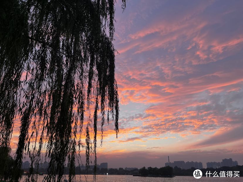 你一句春不晚,我就来了真济南~
