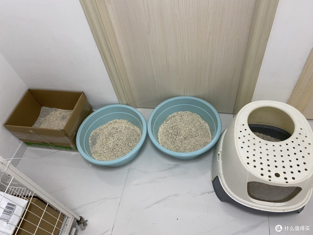 4个猫砂盆3只猫