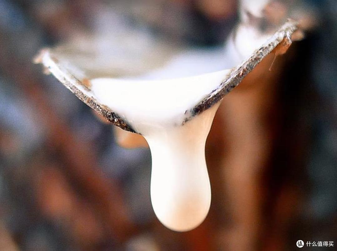 什么是乳胶床垫？乳胶床垫哪家性价比高？这5个品牌口碑公认！