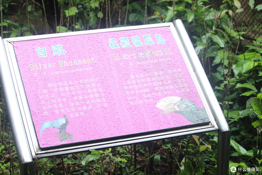 春节前去广州动物园，虽然动物少，但也超级实惠，门票才25块