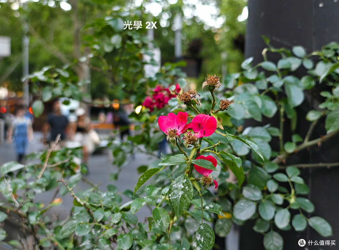 vivo X90 Pro+ 相机评测:重装上阵