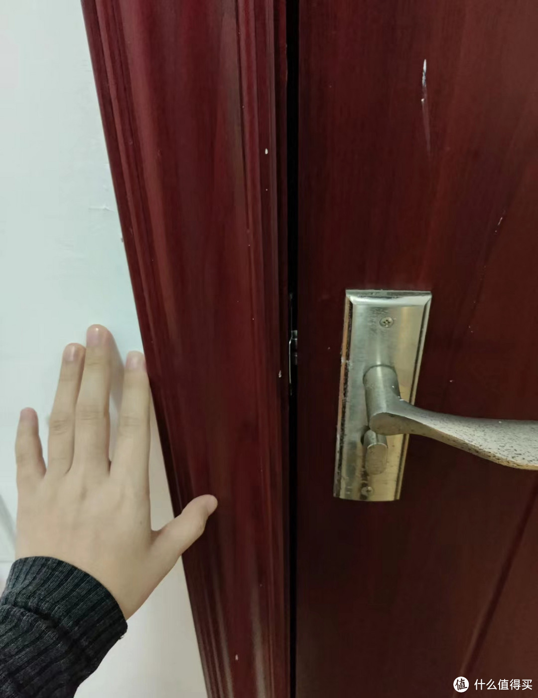 我的家是有反骨吗?天天跟我对着干!
