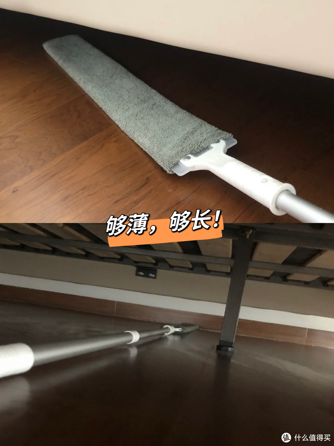 我的家是有反骨吗?天天跟我对着干!