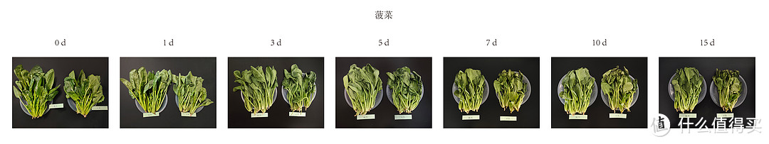 囤货啦，入手一台TCL格物Q10分子保鲜科技冰箱叭