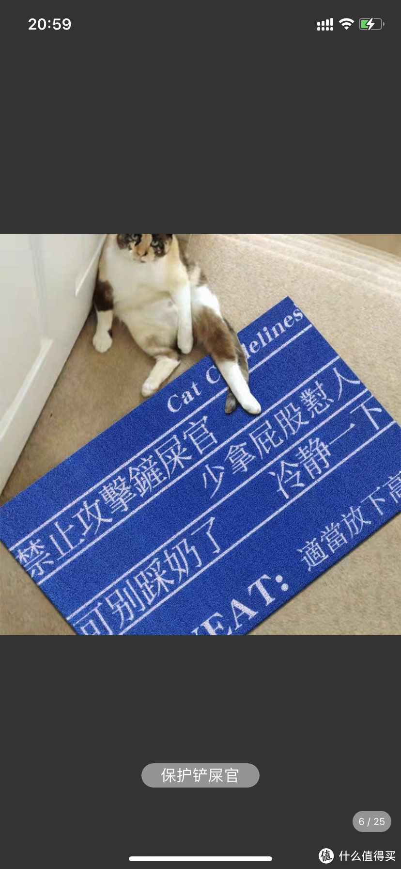 自己买了地毯，也要给猫咪安排上，猫咪地毯开箱～