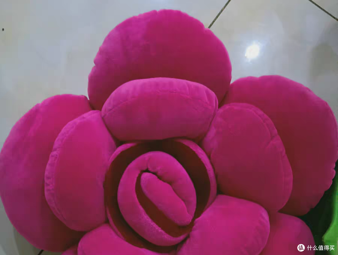 我爱的玫瑰花永远都在绽放
