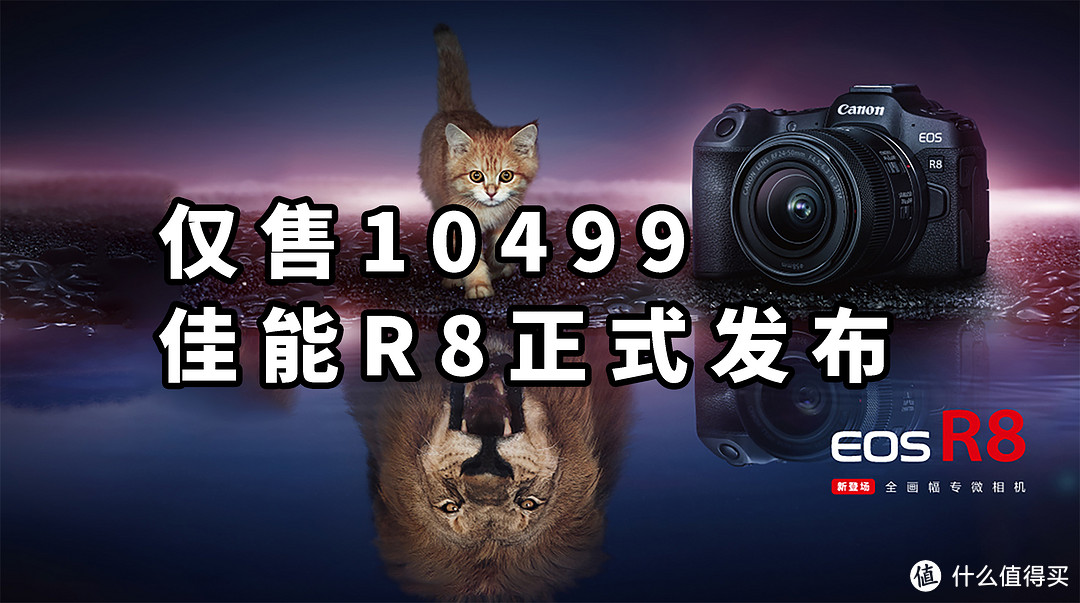 仅售10499 爆打R6 佳能EOS R8正式发布