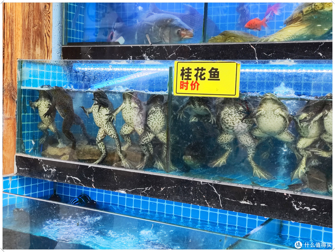 昆大理-- 环洱海 2023.01.18