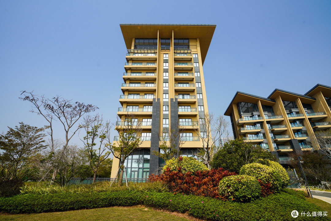 taverns篇三百七十九迟到一年的吐槽我的源宿酒店初体验谢谢你厦门