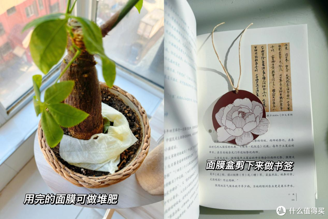 「新」试用｜新品牌体验之「植想说Whisper」白玫瑰密集补水面膜