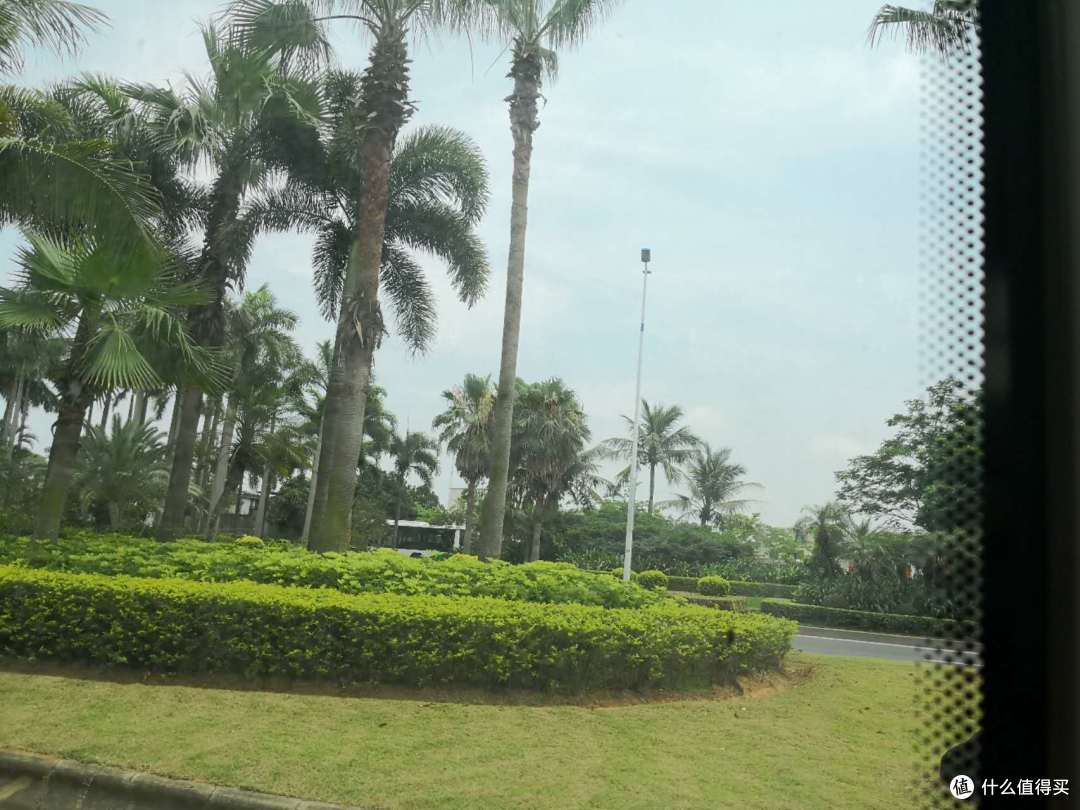 美丽的湛江